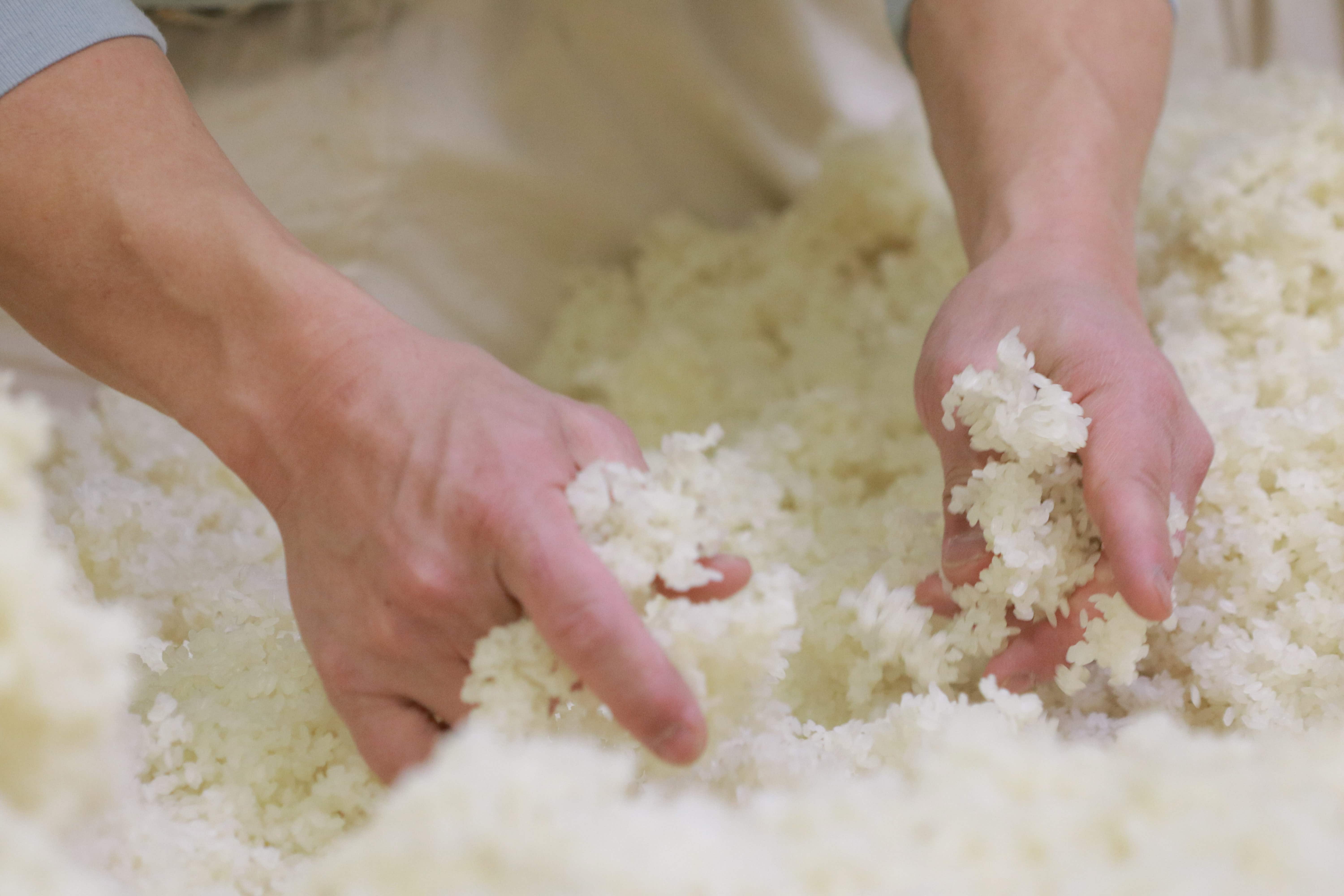 が よう ない 食べ の にし の て 際 は 職人 酒造り 日本 いる