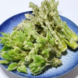 山菜の天ぷら