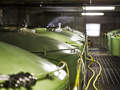 Tanks that store Long-term aged sake